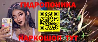 стаф Кулебаки