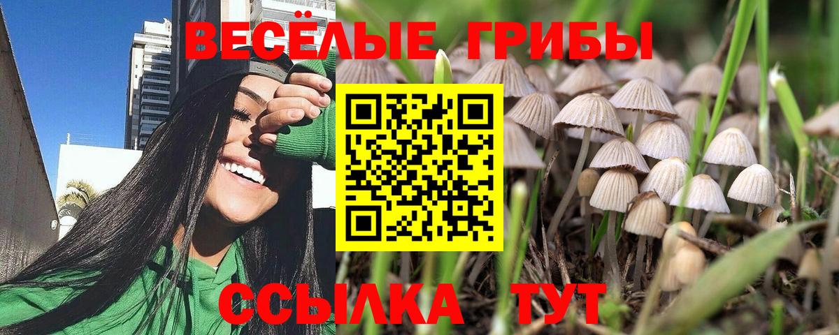 Галлюциногенные грибы мицелий Изобильный