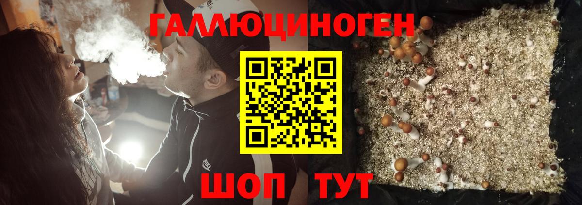 Псилоцибиновые грибы Psilocybe  Вход с VPN  Галлюциногенные грибы GOLDEN TEACHER  Изобильный 